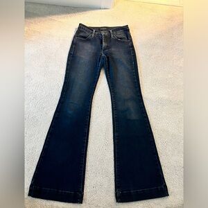 James jeans size 27 flare leg